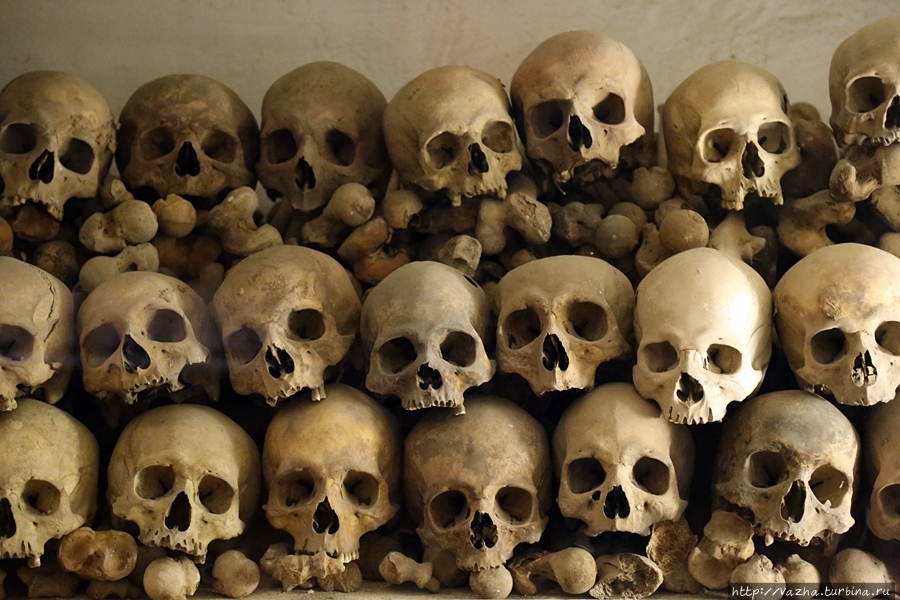 Кафедральный Собор Лимы Лима, Перу