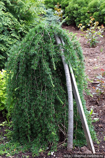 День музея Южно-Сахалинск, Россия