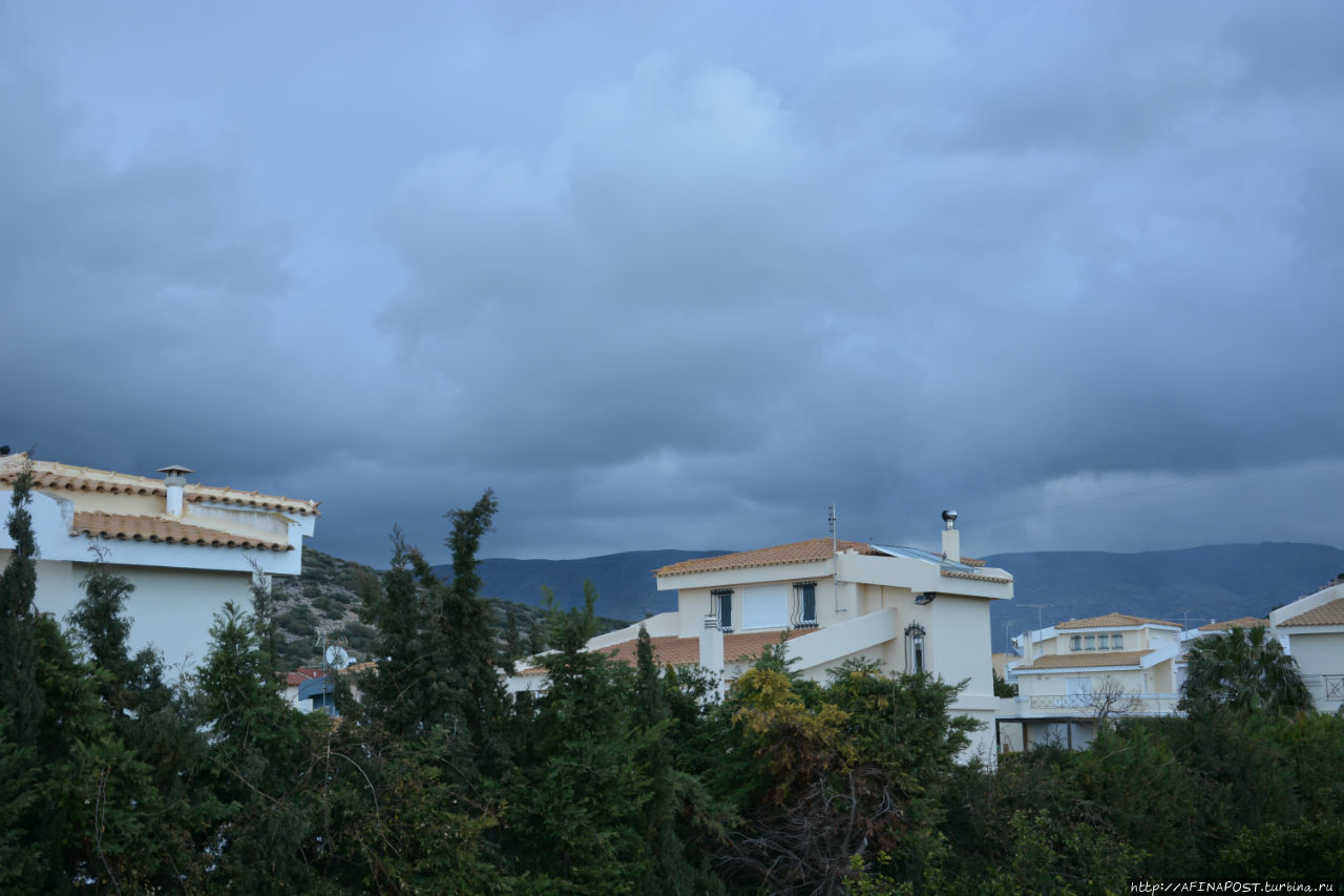 Все оттенки серого