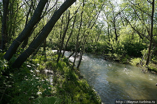 Жизнь вдоль дороги Южно-Сахалинск, Россия