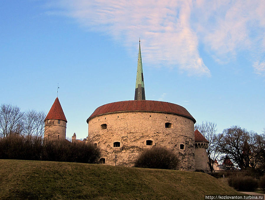 Её острый шпиль виден отовсюду: за башней Толстая Маргарита... Таллин, Эстония