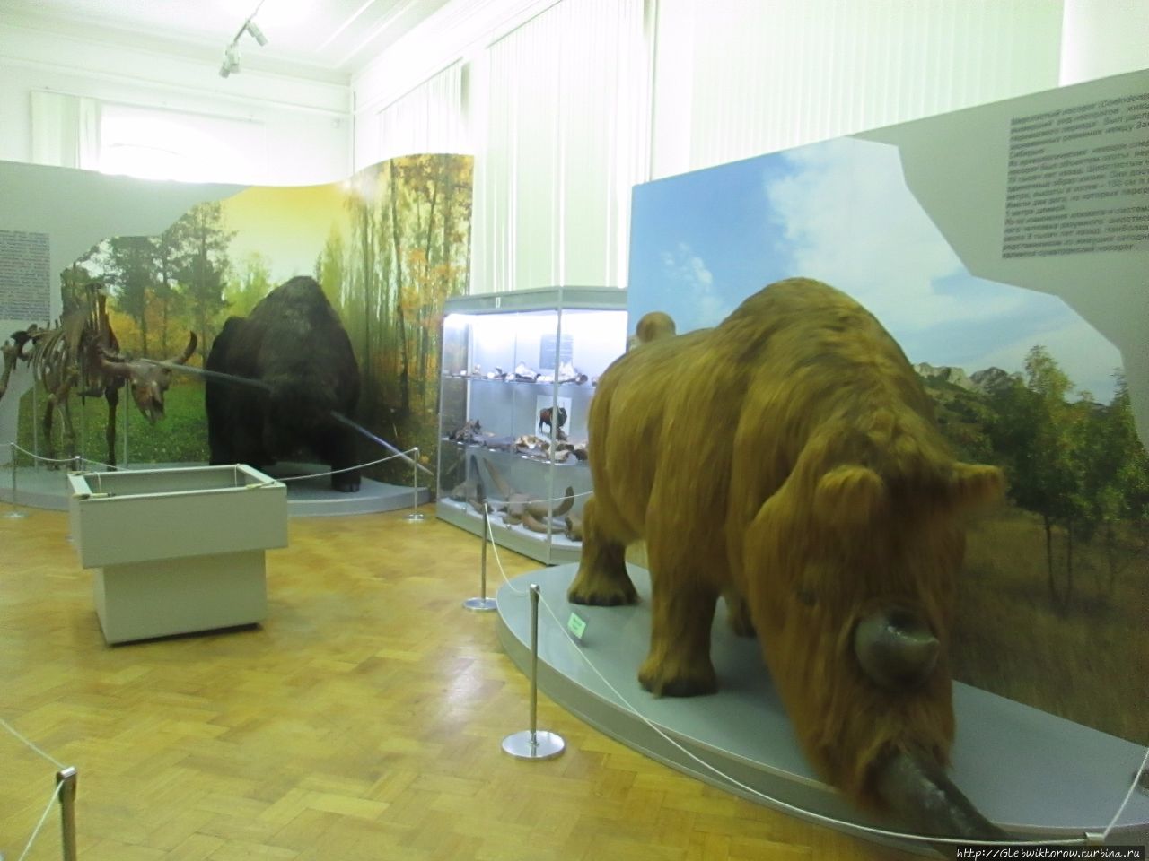 астраханский краеведческий музей экспонаты
