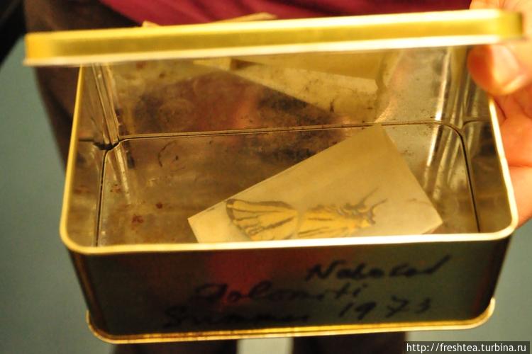 В таких жестяных банках и