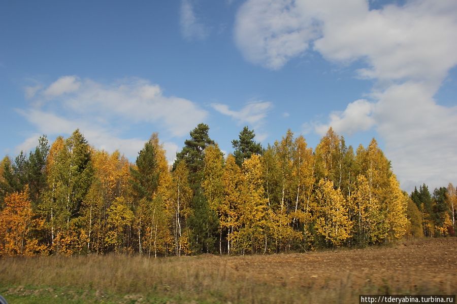 Золото дорог Пермский край, Россия