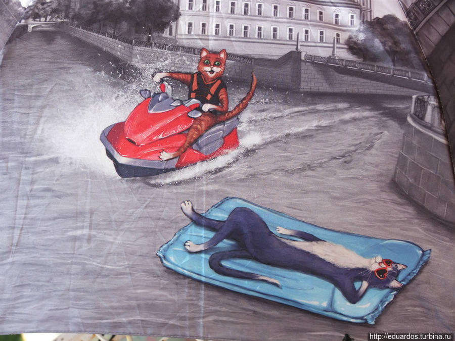 зонтичные кошки Санкт-Петербург, Россия