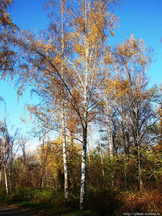 Осенняя медитация Киев, Украина