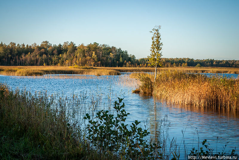 Озеро Каниера Лапмежциемс, Латвия