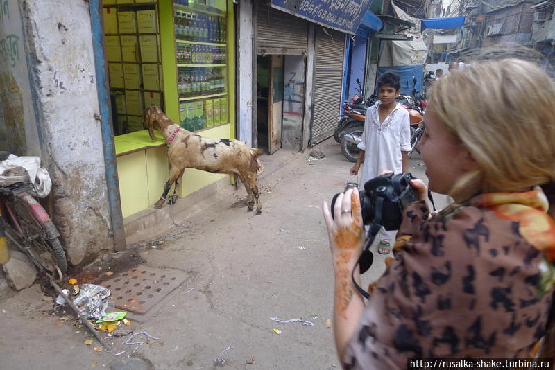 Репортаж о самой себе, или Как меня снимали в Индии