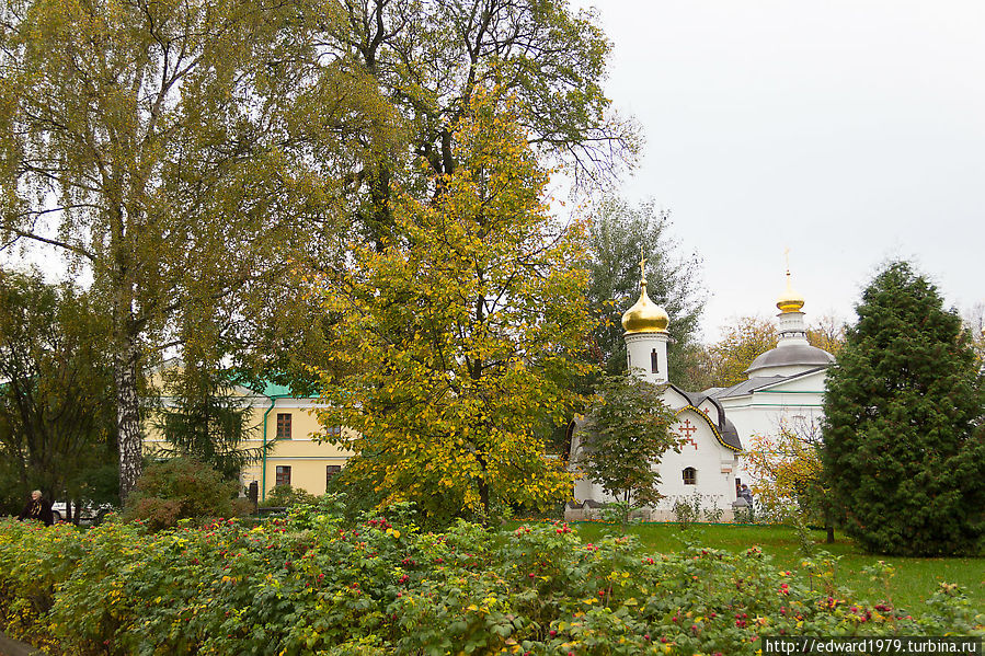 Дмитров,  Московская область Дмитров, Россия