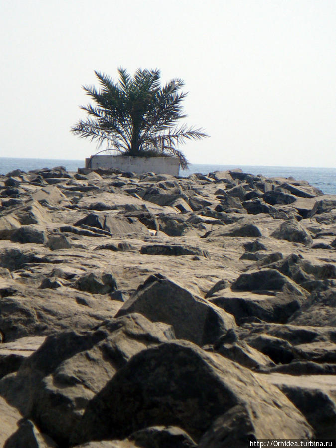каменный вал-ограничитель Фуджейра, ОАЭ