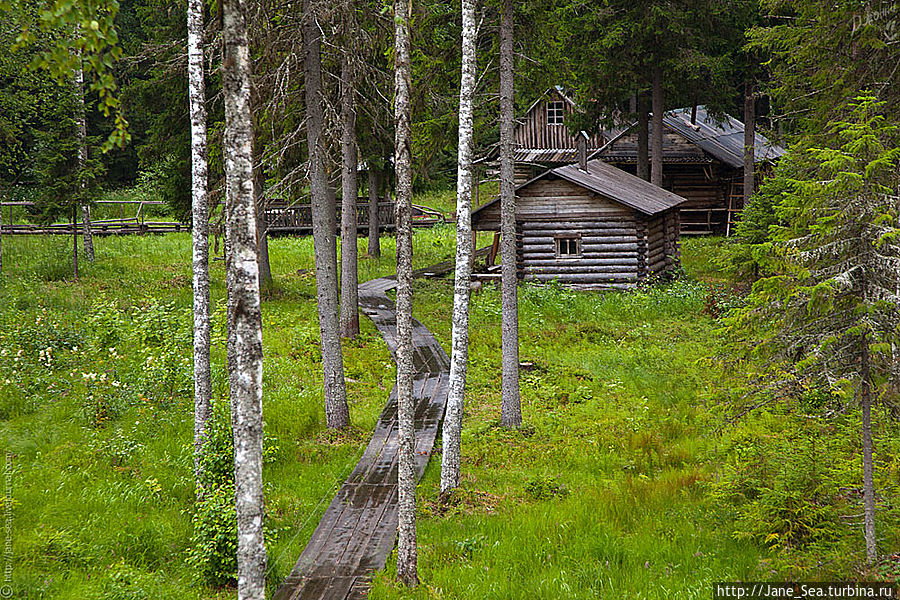 Охотничья заимка. Вид со смотровой башни на баню.