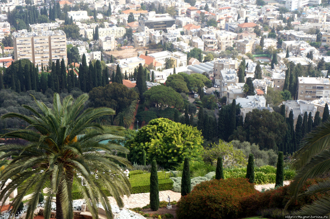 Волшебные   сады  Хайфы... Хайфа, Израиль