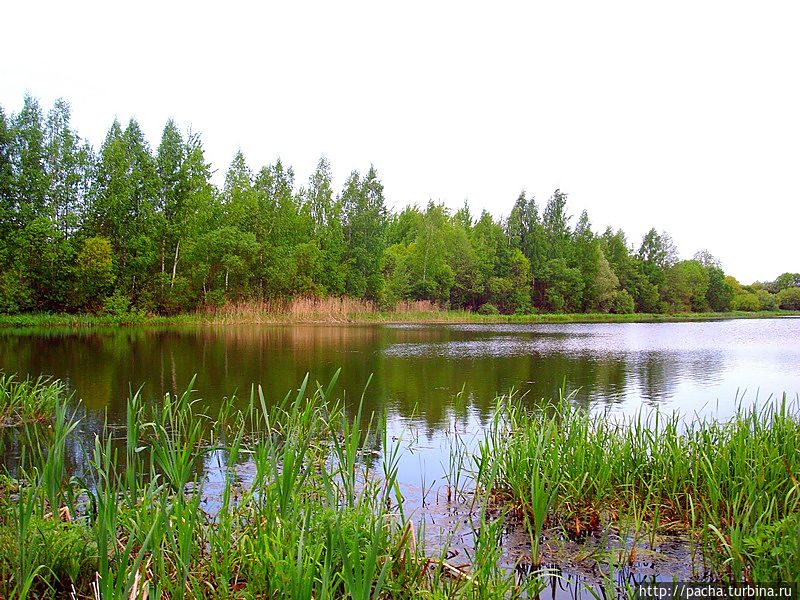 Беларусь фрагменты и зарисовки матушки природы Борисов, Беларусь