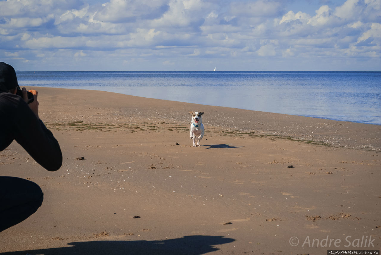 Природный парк Ragakāpa. Юрмала, Латвия