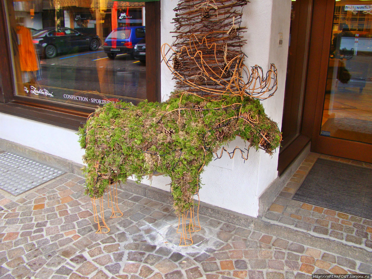 Заанен и деревенские козы Занен, Швейцария