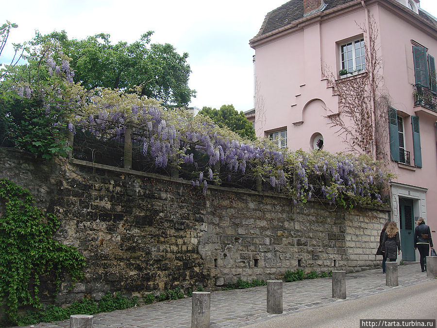 Холм действительно живописный