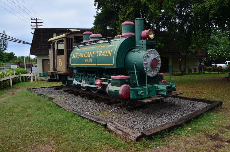 Sugar Cane Train