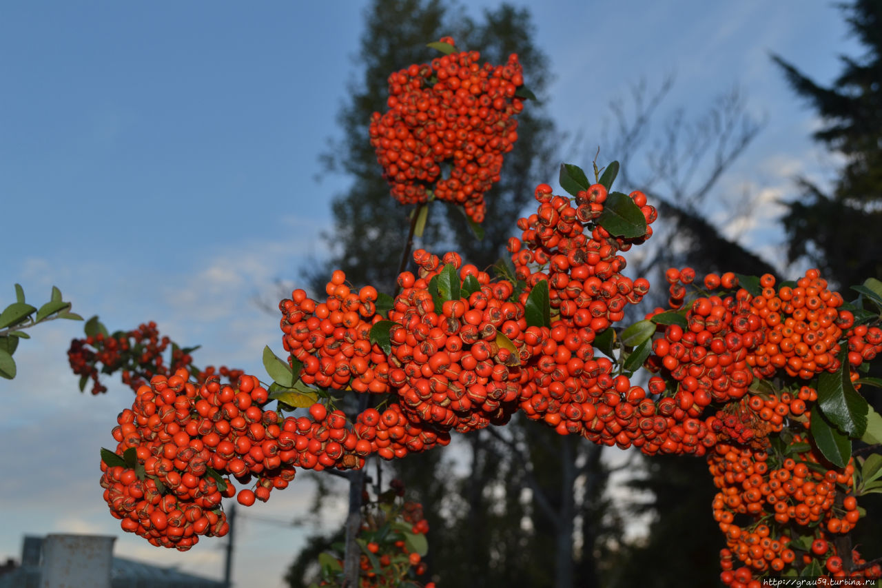 Алушта Россия