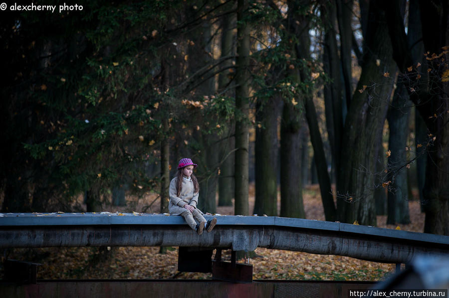 Осень в Гатчинском парке Гатчина, Россия
