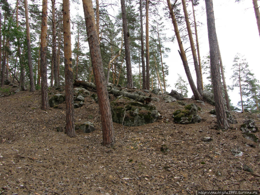 на Рачейских скалах Самарская область, Россия