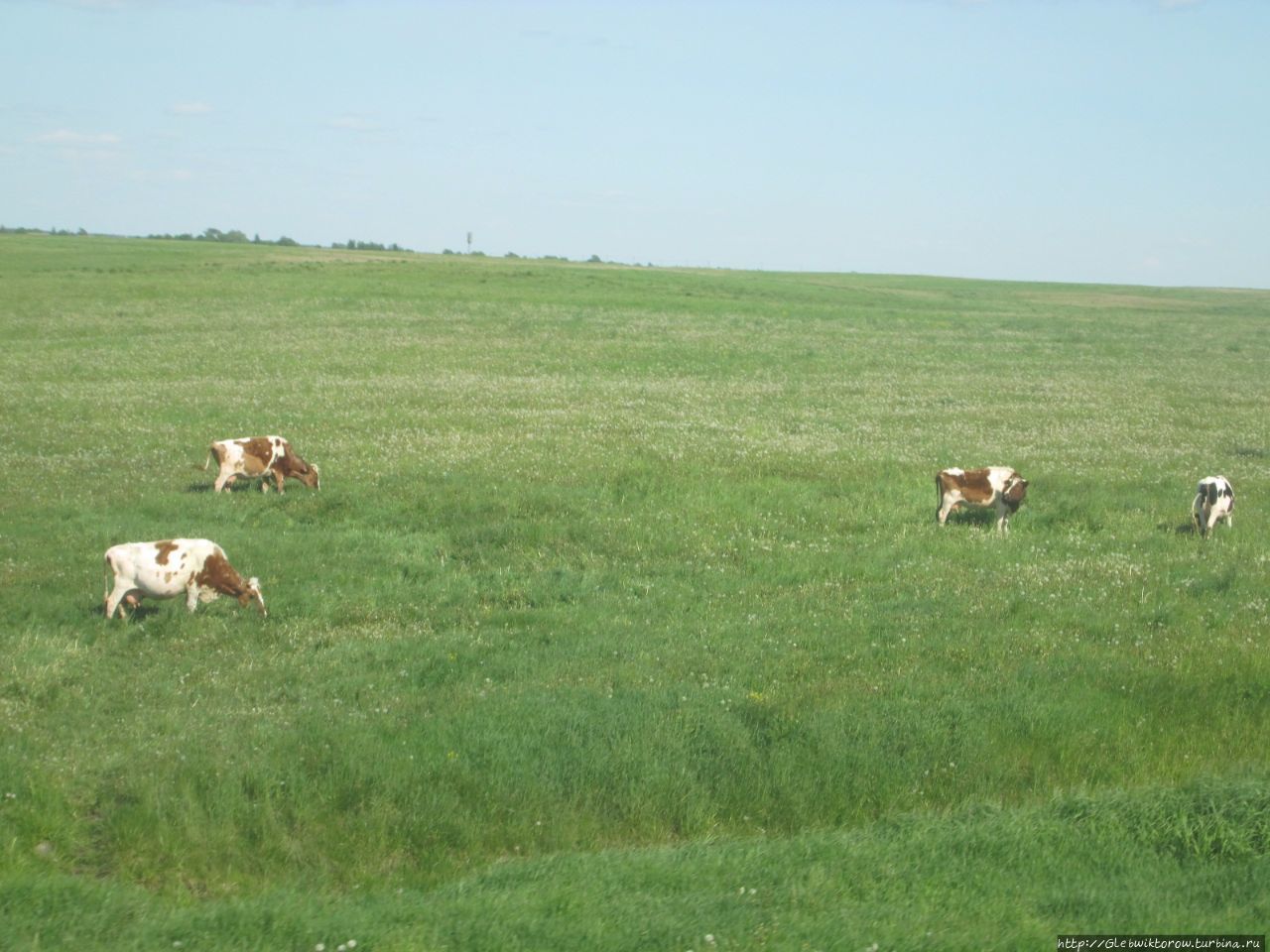Поездка в Поставы и прогулка по городу Поставы, Беларусь