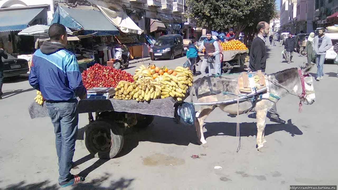 Красивый путь в Надор Надор, Марокко