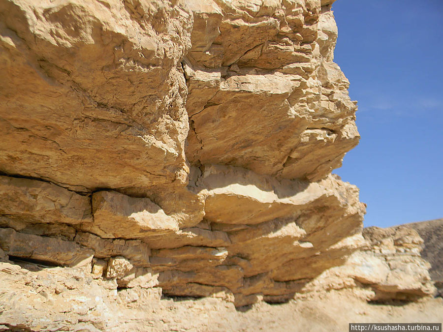 Большой махтеш и каменные деревья Мицпе-Рамон, Израиль
