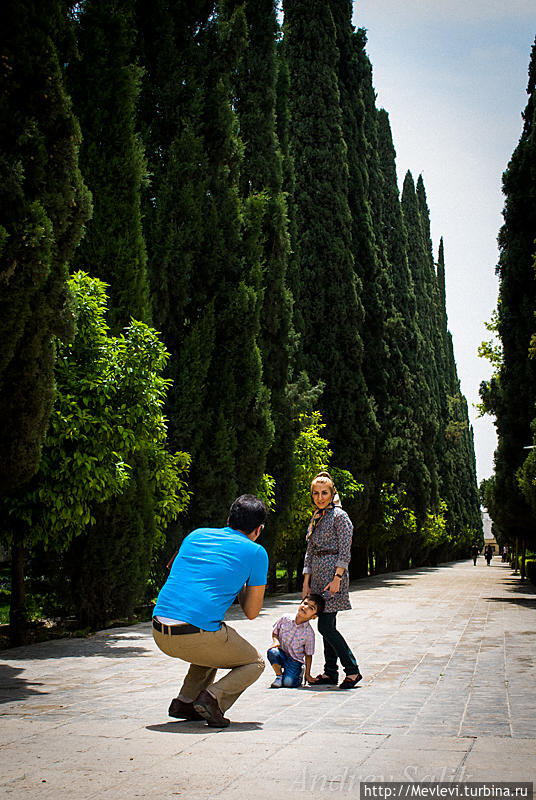 Сад Эрам (Bagh-e Eram, райский сад) Шираз, Иран