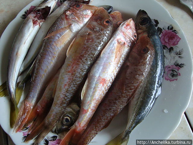 Ждёт своей очереди барабулька.