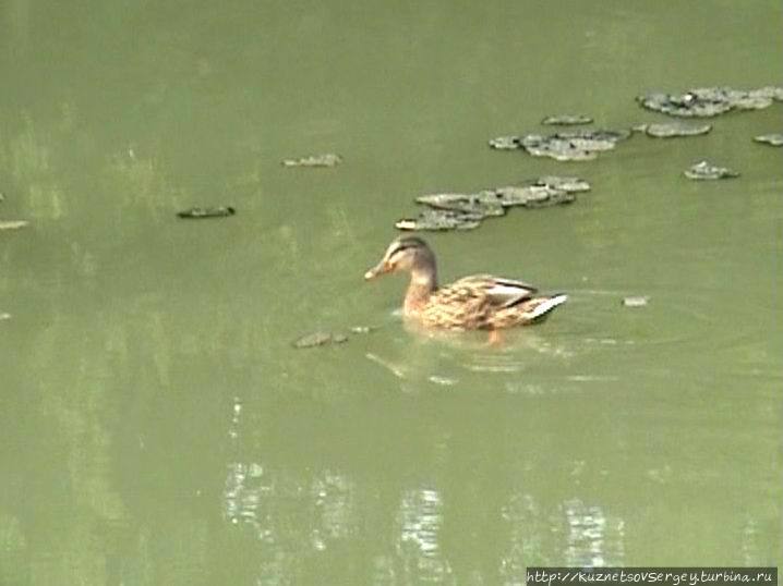 Обершлайсхайм — пригород Мюнхена Обершлайсхайм, Германия