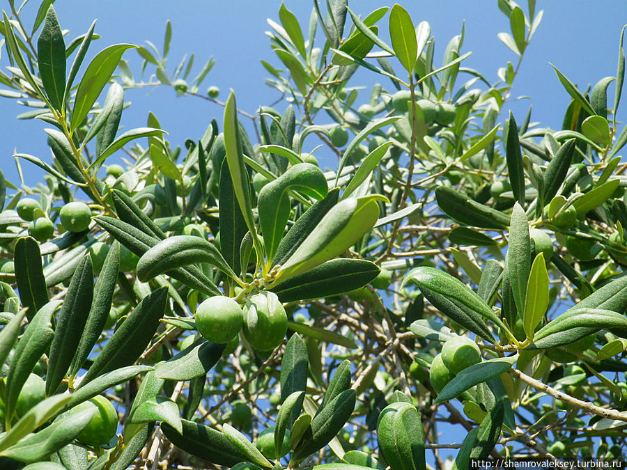 Террачина. На вершине храмовой горы Террачина, Италия