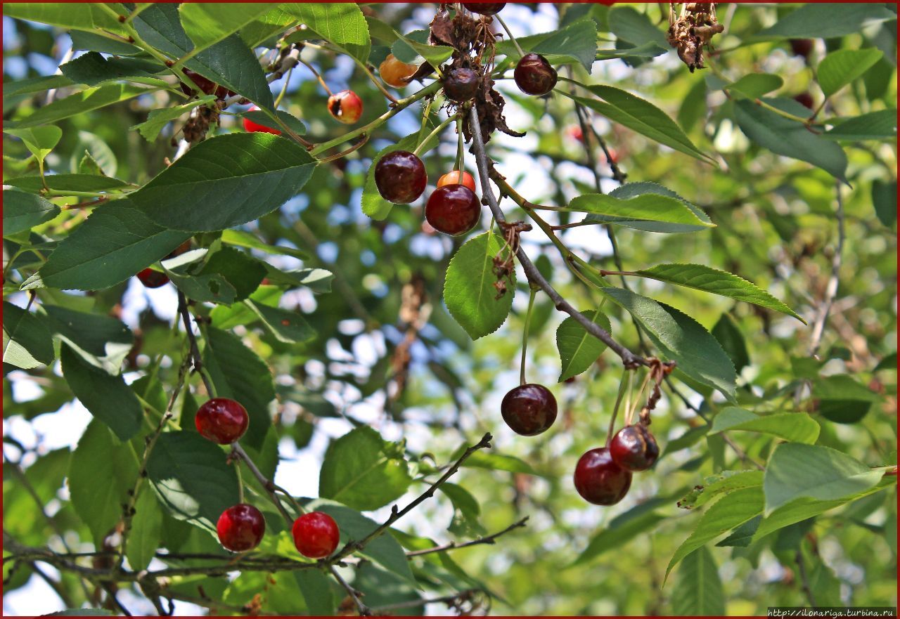 Про лето Латвия