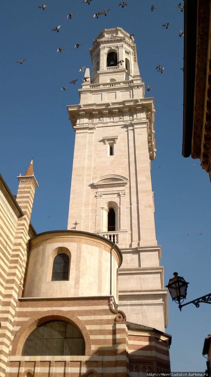 Кафедральный собор Вероны Верона, Италия