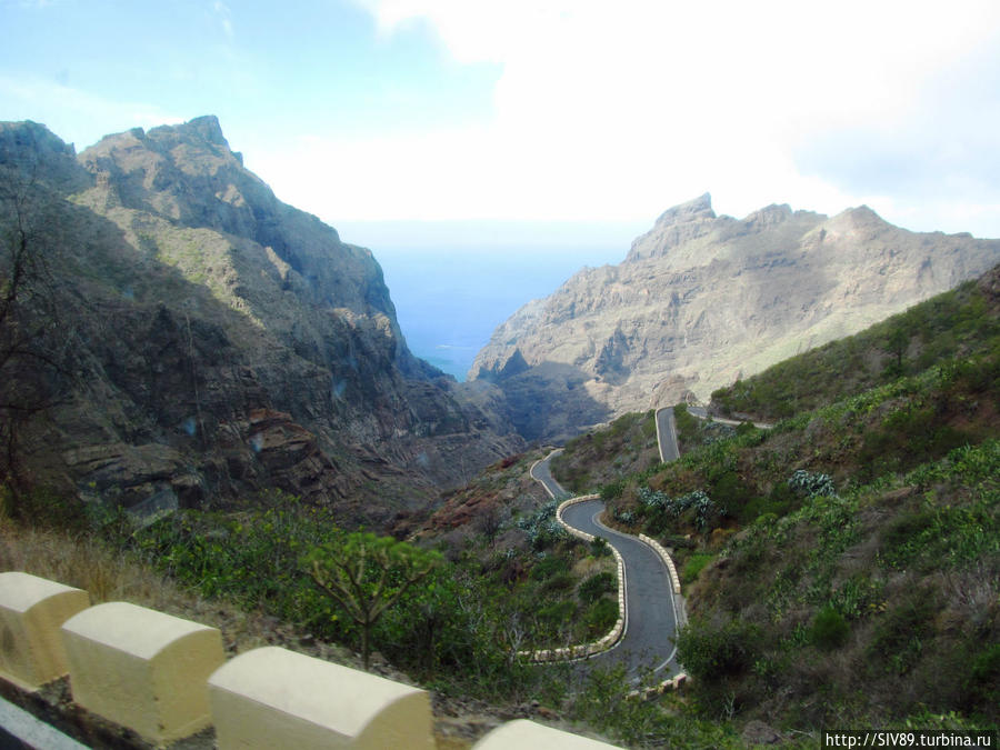 10 дней на Тенерифе в ноябре — цифры, факты, ценные указания Остров Тенерифе, Испания