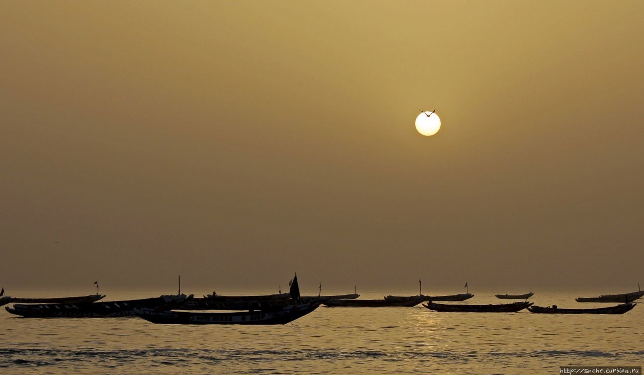 Пестрая флотилия Мавритании на фоне пастельных закатов