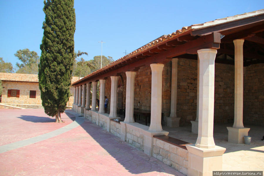 Кошачий монастырь