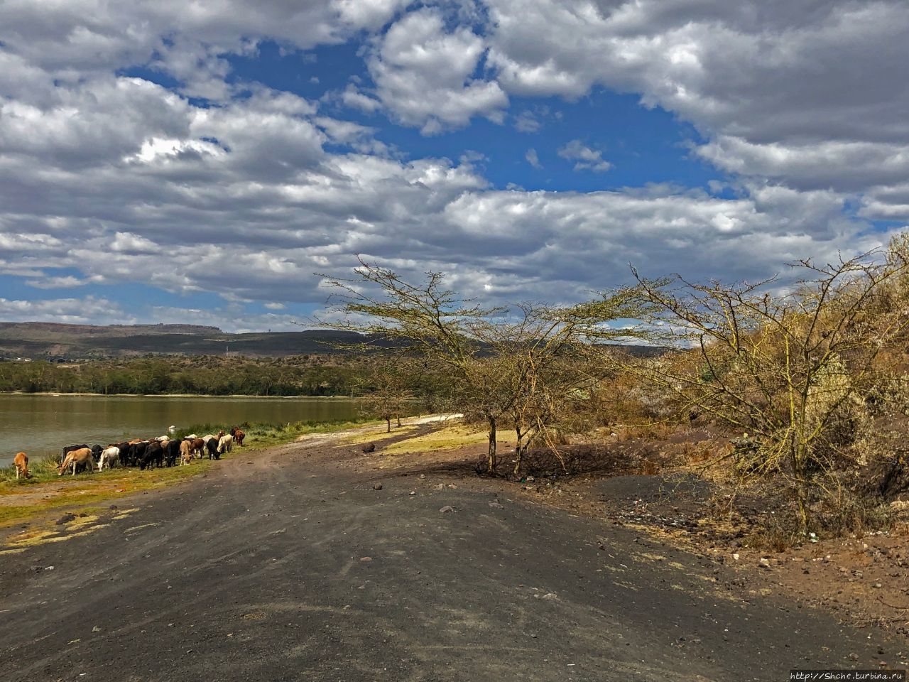 Озеро Элементита Озеро Элментейта, Кения