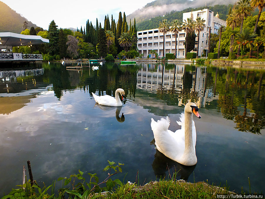 Новый Афон, Лебединое озеро