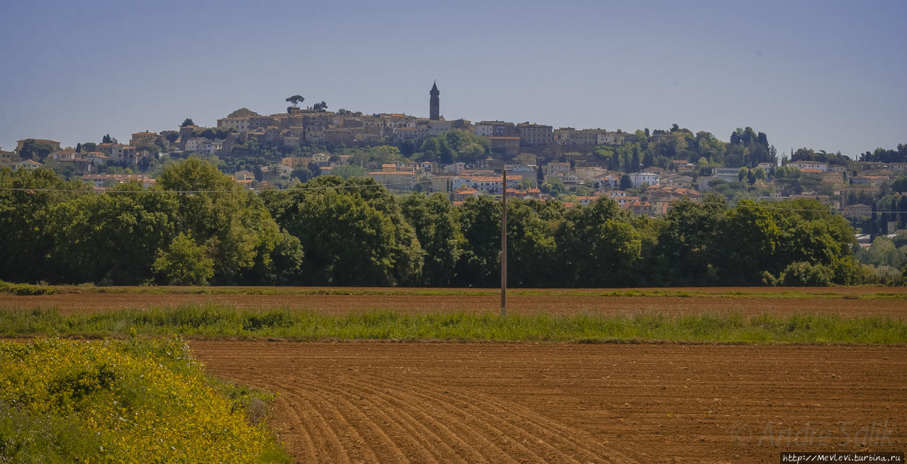 Маки Тосканы Тоскана, Италия