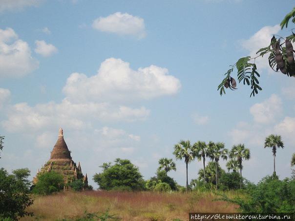 Третий день среди пагод под жарким солнцем Баган, Мьянма