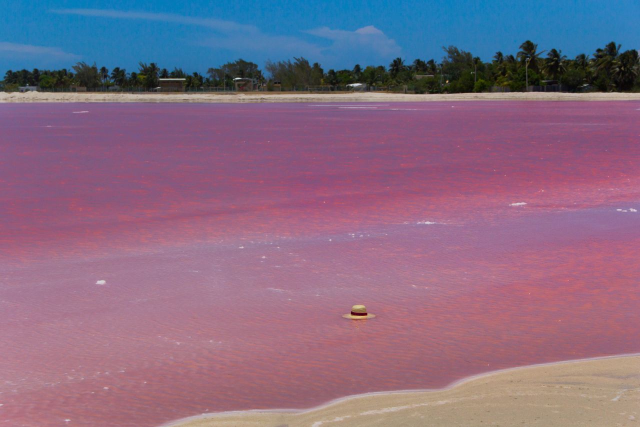 Розовые озёра Лас Колорадас (Las Coloradas). Заповедник Рио Лагартос. Рио-Лагартос Национальный Парк, Мексика