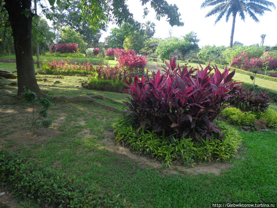 Garden Insein Янгон, Мьянма