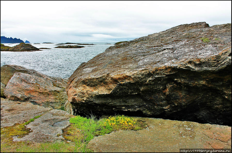 Анденес. Город Полярного сияния и китовых сафари Анденес, Норвегия