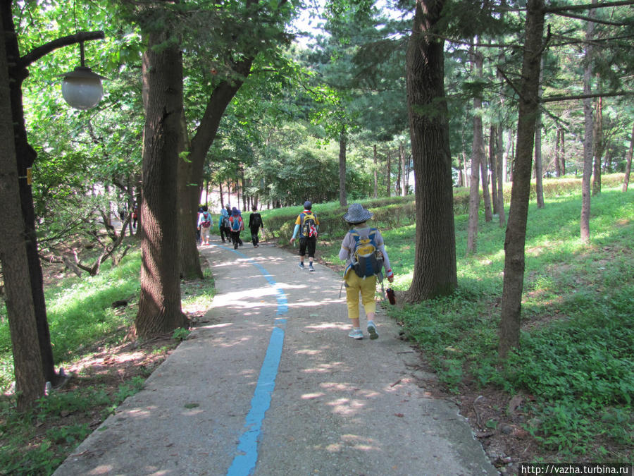 Зоопарк Сеула. Третья часть. Сеул, Республика Корея