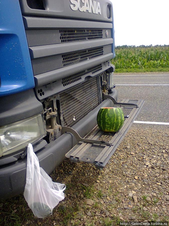 Первый мамин автостоп