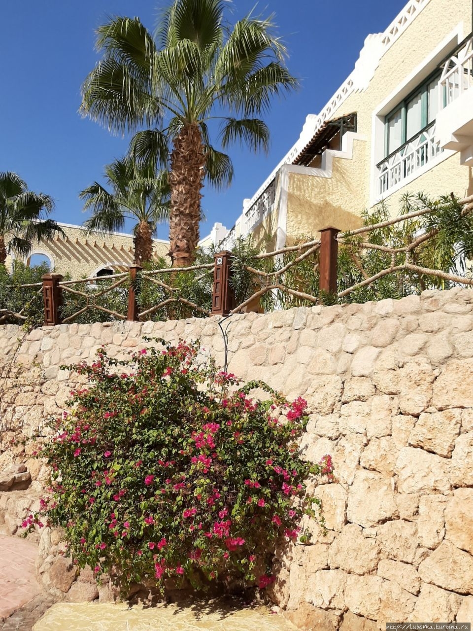 Египетская Бразильянка. Шарм-Эль-Шейх, Египет Египетская Бразильянка. Шарм-Эль-Шейх, Египет