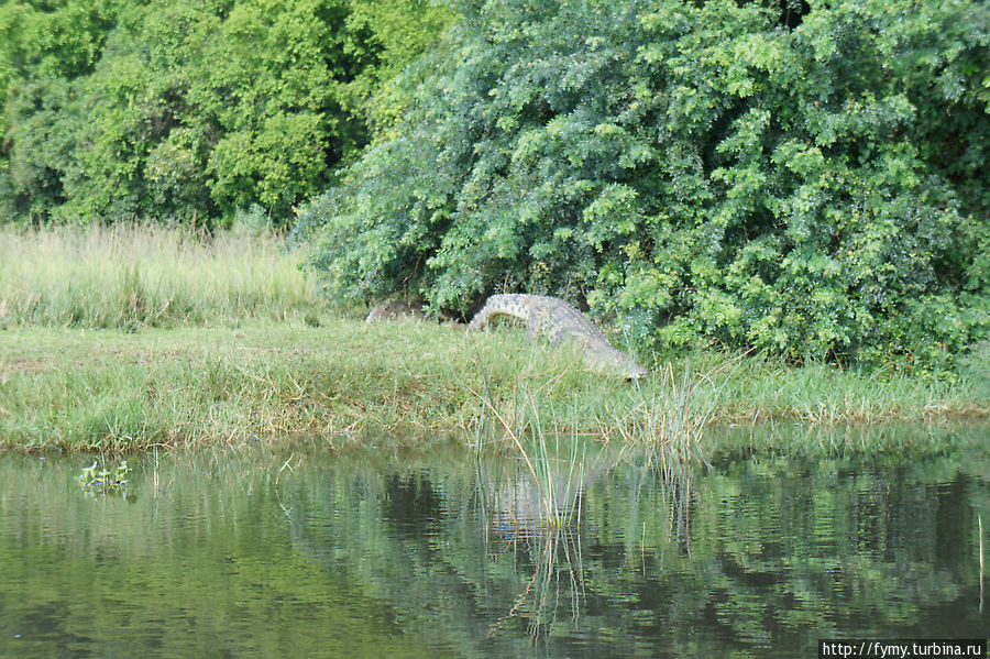 От Кампалы на север Уганда
