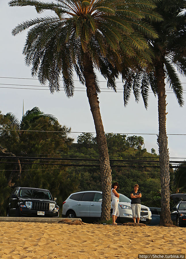 наши дамы остались возле машины, это совсем не далеко Кауэла-Бэй, остров Оаху, CША