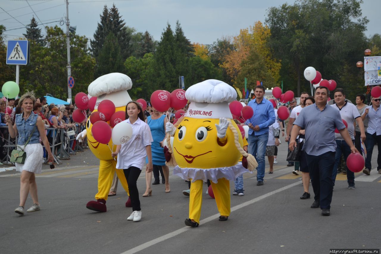 Межрегиональный фестиваль 