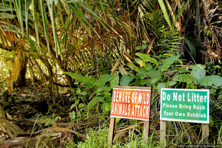 Больше для себя...
Красная: Остерегайтесь нападения диких животных
Зеленая: Не сорите. Пожалуйста заберите с собой ваш мусор Бако Национальный Парк, Малайзия